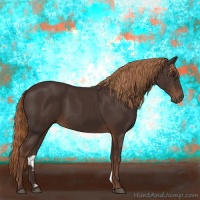 Horse Color:Liver Chestnut 