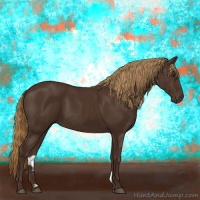 Horse Color:Liver Chestnut 