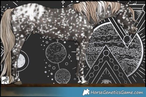 Horse Color:Liver Chestnut Appaloosa Rabicano 