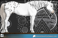 Horse Color:Liver Chestnut Appaloosa Rabicano 