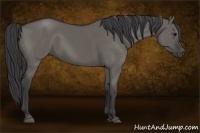 Horse Color:Grullo