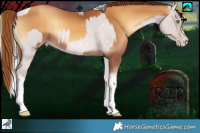 Horse Color:Platinum Chocolate Silver Sable Champagne Roan Dun Splash Tobiano Frame Rabicano  and Gray Gold Champagne Onyx 