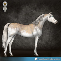 Horse Color:White Spotted Liver Red Dun Mushroom Splash  and Chocolate Palomino Mushroom Splash 