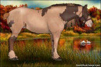 Horse Color:Liver Chestnut  and Gold Champagne 