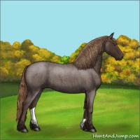 Horse Color:Liver Red Roan 