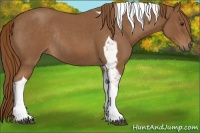 Horse Color:Red Roan Tobiano Rabicano