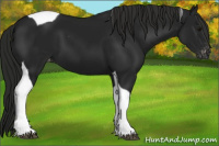 Horse Color:Gray Black Tobiano Varnish 