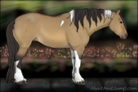 Horse Color:Buckskin Dun Tobiano Rabicano