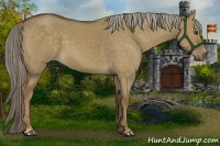 Horse Color:Chocolate Palomino Dun 