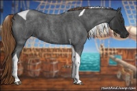 Horse Color:Liver Red Roan Tobiano