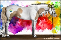 Horse Color:Liver Chestnut Pearl Sabino Splash Tobiano 