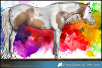 Horse Color:Liver Chestnut Pearl Sabino Splash Tobiano 