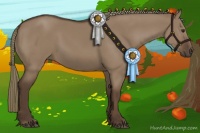 Horse Color:Liver Red Dun 