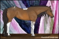 Horse Color:Buckskin Tobiano