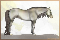 Horse Color:Gray Platinum Chocolate Palomino Pearl Onyx