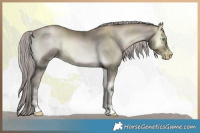 Horse Color:Gray Platinum Chocolate Palomino Pearl Onyx 