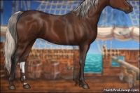 Horse Color:Silver Bay 