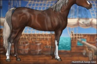Horse Color:Silver Brown 