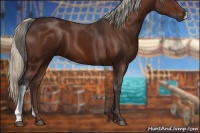 Horse Color:Silver Brown 
