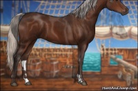 Horse Color:Silver Brown