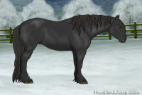 Horse Color:Gray Liver Chestnut 