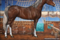 Horse Color:Silver Bay 