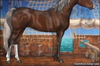 Horse Color:Silver Brown 