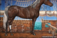 Horse Color:Silver Brown 
