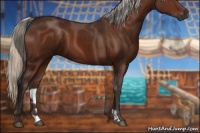 Horse Color:Silver Brown 