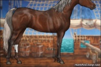 Horse Color:Silver Brown 