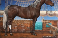 Horse Color:Silver Brown 