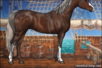 Horse Color:Silver Bay 