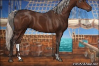 Horse Color:Silver Brown
