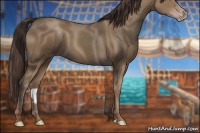 Horse Color:Classic Champagne 