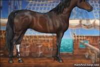 Horse Color:Brown 