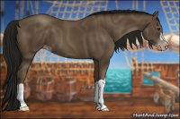 Horse Color:Gray Classic Champagne 