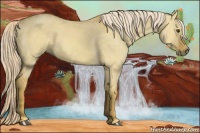 Horse Color:Palomino Dun