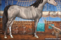 Horse Color:Sable Champagne Dun