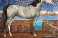 Horse Color:Amber Champagne Dun 