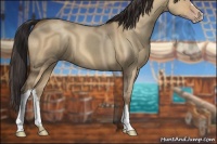 Horse Color:Amber Champagne Dun 