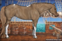 Horse Color:Liver Red Dun Tobiano