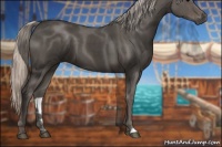 Horse Color:Silver Black 
