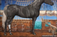 Horse Color:Silver Black 