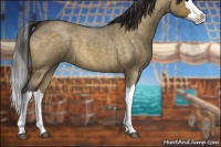 Horse Color:Buckskin Roan Dun Splash