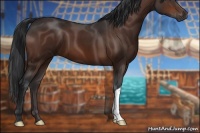 Horse Color:Brown 