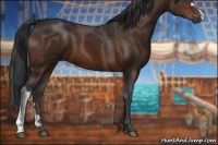 Horse Color:Brown 