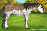Horse Color:Smoky Grullo Sabino Splash and Buckskin Dun Sabino Splash