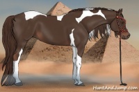 Horse Color:Liver Chestnut Tobiano 