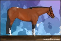 Horse Color:Bay Tobiano 