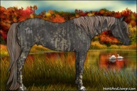 Horse Color:Chocolate Palomino Mushroom and Liver Red Roan